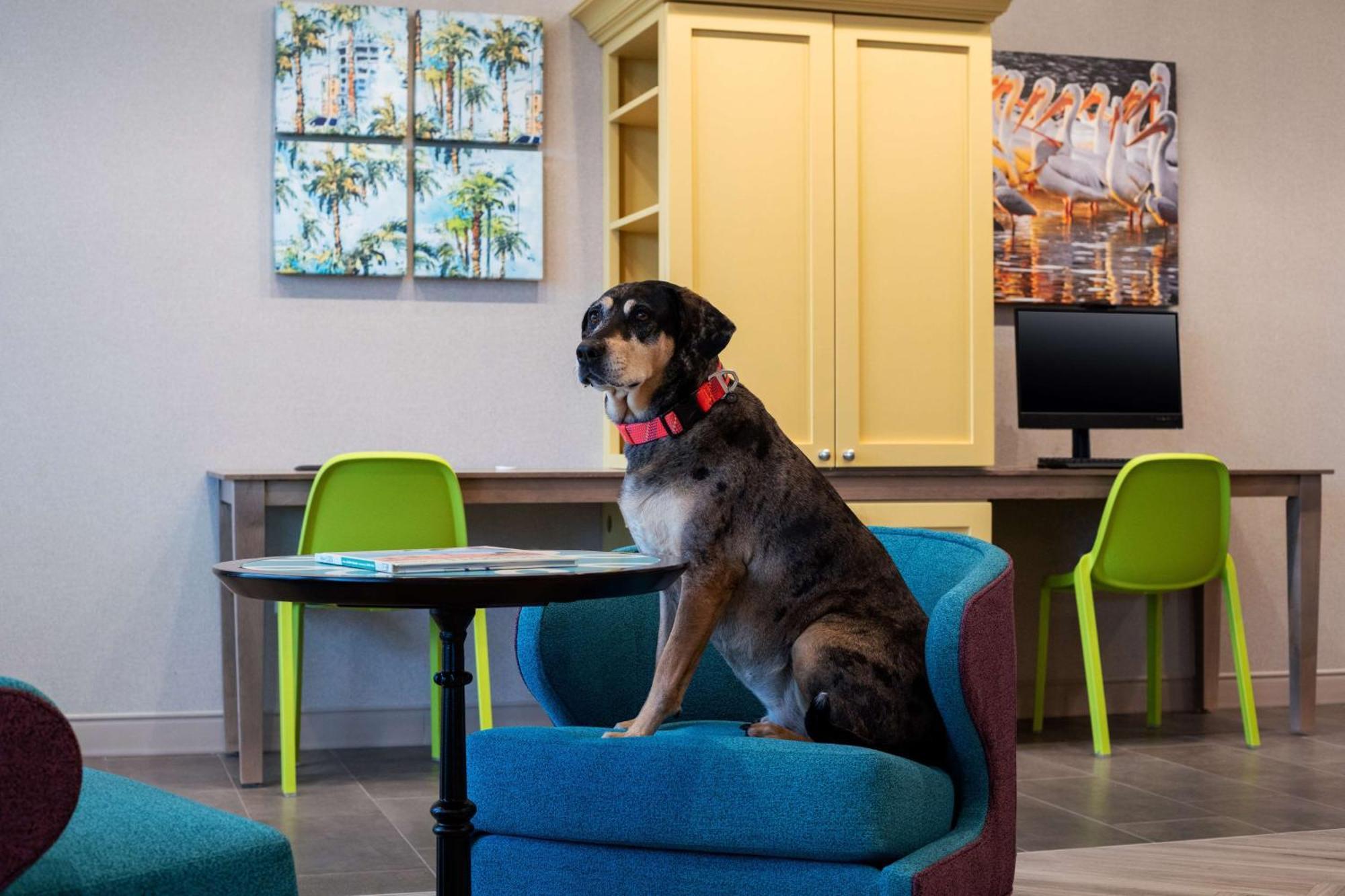 Home2 Suites By Hilton Lake Mary Orlando Esterno foto
